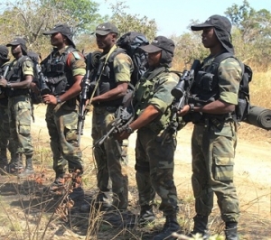 Breaking News: Cameroon  Army Kills 27 Boko Haram  Militants